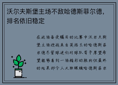沃尔夫斯堡主场不敌哈德斯菲尔德，排名依旧稳定